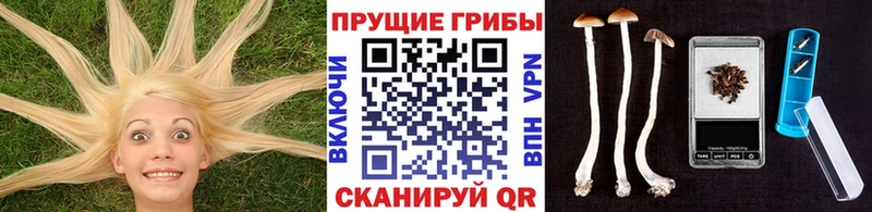 Купить закладки  Бородино  Галлюциногенные грибы ЛСД 